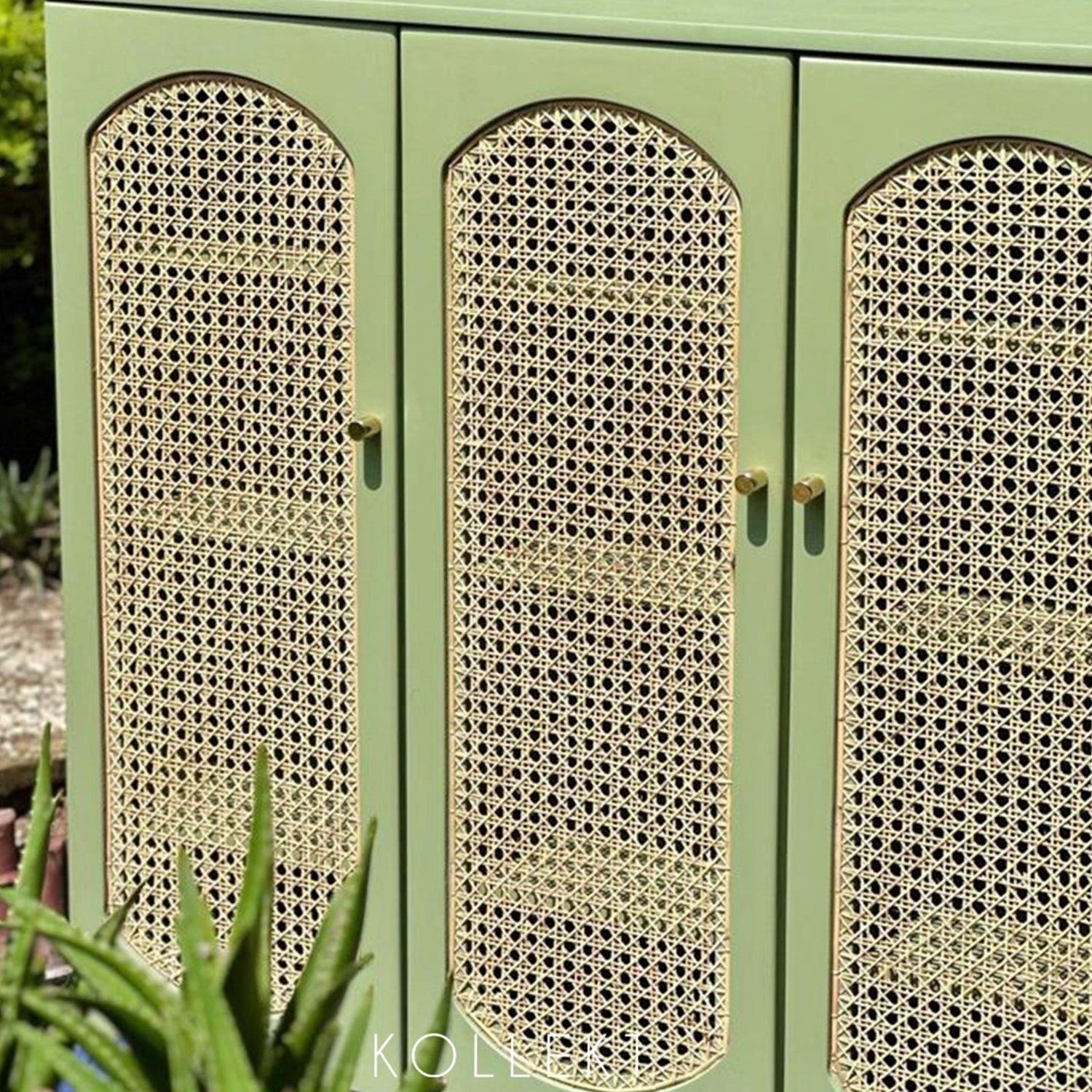 Corner Cane Cabinet